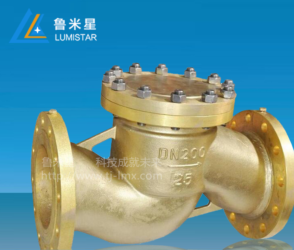 1615020704192231.jpg 氧氣止回閥氧氣閘閥產品圖.jpg