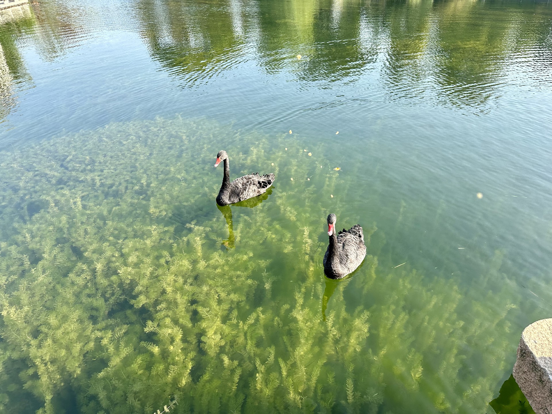 1730712280402401.jpg 微信圖片_20241104150910 拷貝.jpg