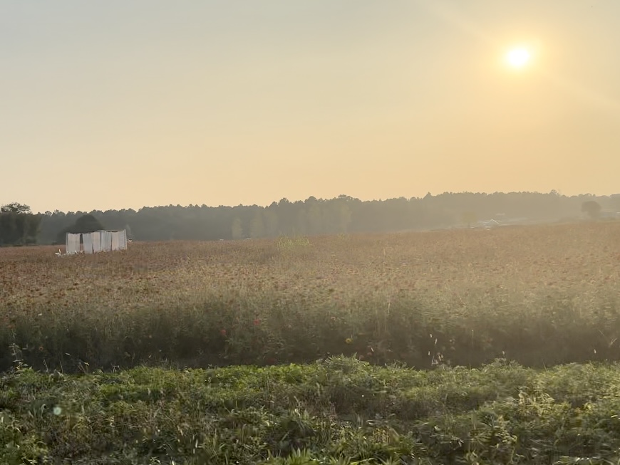 1730712315512545.jpg 微信圖片_20241104152939.jpg